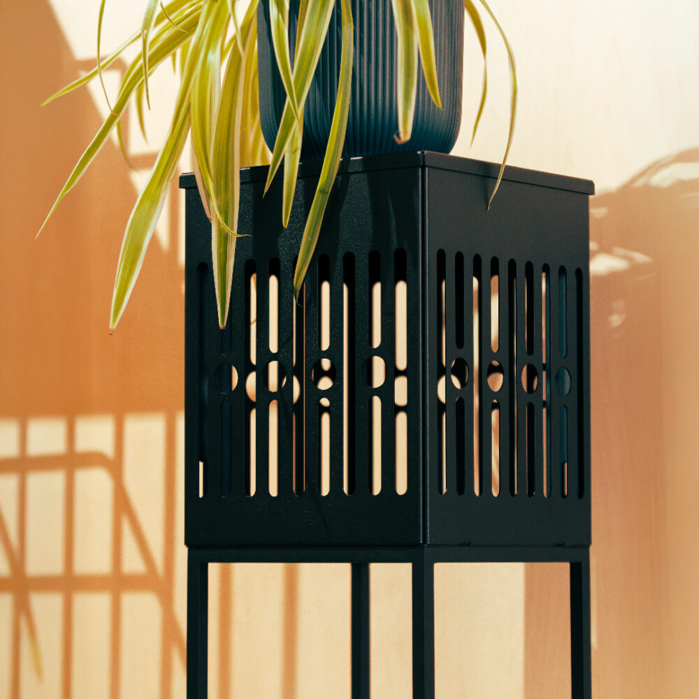 vue console jalousy